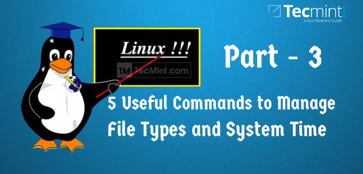 在 Linux 中管理文件类型并设置时间